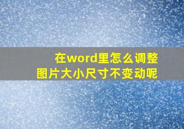 在word里怎么调整图片大小尺寸不变动呢