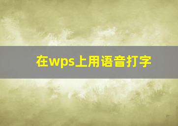 在wps上用语音打字