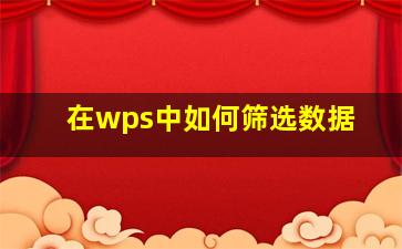 在wps中如何筛选数据