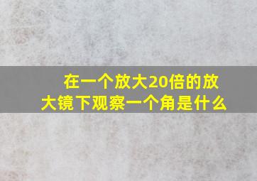 在一个放大20倍的放大镜下观察一个角是什么