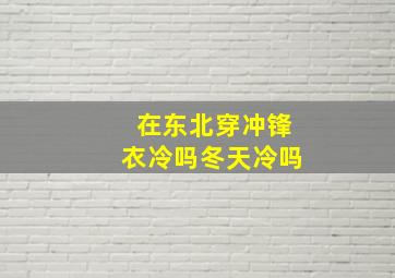 在东北穿冲锋衣冷吗冬天冷吗