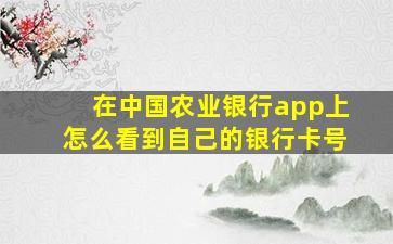 在中国农业银行app上怎么看到自己的银行卡号