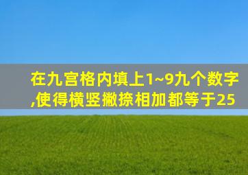 在九宫格内填上1~9九个数字,使得横竖撇捺相加都等于25