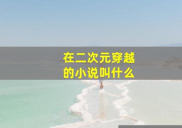 在二次元穿越的小说叫什么