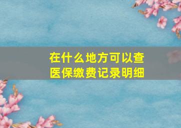 在什么地方可以查医保缴费记录明细