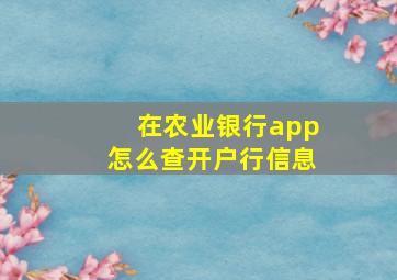 在农业银行app怎么查开户行信息