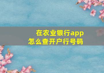 在农业银行app怎么查开户行号码