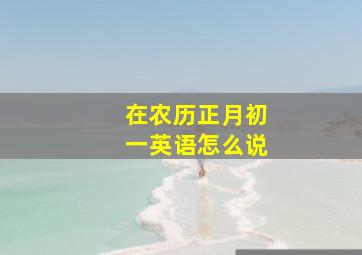 在农历正月初一英语怎么说