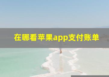 在哪看苹果app支付账单