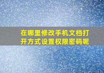 在哪里修改手机文档打开方式设置权限密码呢