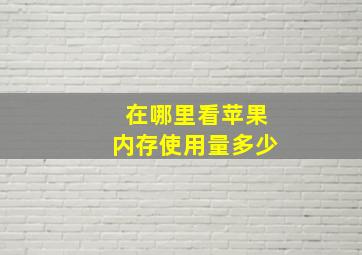 在哪里看苹果内存使用量多少