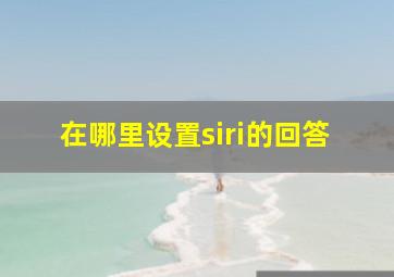 在哪里设置siri的回答