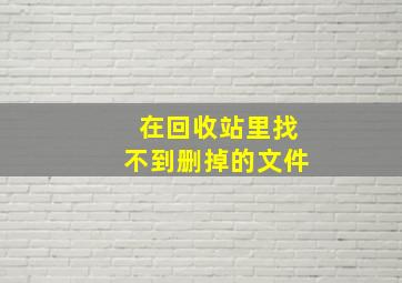 在回收站里找不到删掉的文件