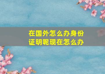 在国外怎么办身份证明呢现在怎么办