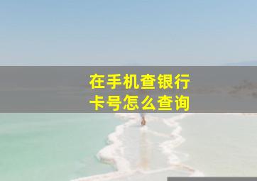 在手机查银行卡号怎么查询