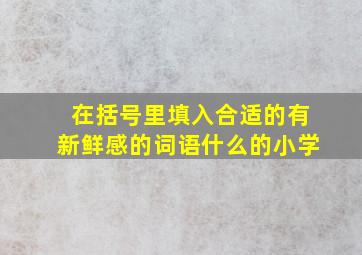 在括号里填入合适的有新鲜感的词语什么的小学