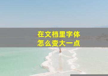 在文档里字体怎么变大一点