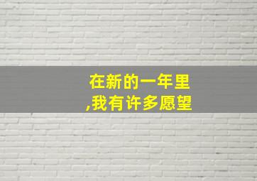 在新的一年里,我有许多愿望