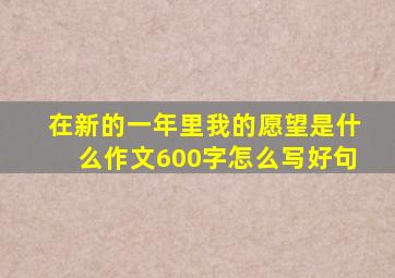 在新的一年里我的愿望是什么作文600字怎么写好句