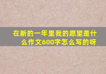 在新的一年里我的愿望是什么作文600字怎么写的呀