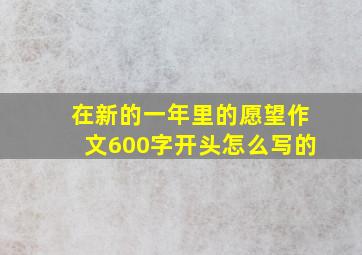 在新的一年里的愿望作文600字开头怎么写的