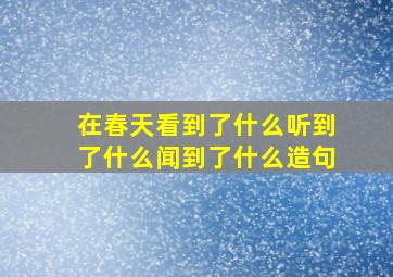 在春天看到了什么听到了什么闻到了什么造句