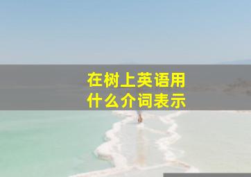 在树上英语用什么介词表示