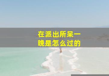 在派出所呆一晚是怎么过的