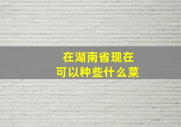 在湖南省现在可以种些什么菜