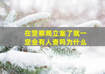 在警察局立案了就一定会有人查吗为什么