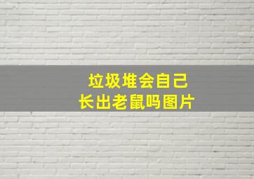 垃圾堆会自己长出老鼠吗图片