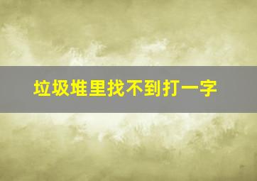 垃圾堆里找不到打一字