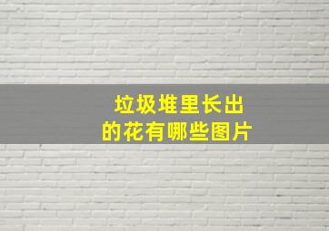 垃圾堆里长出的花有哪些图片