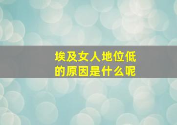 埃及女人地位低的原因是什么呢