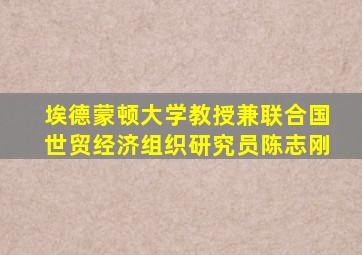 埃德蒙顿大学教授兼联合国世贸经济组织研究员陈志刚