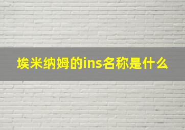 埃米纳姆的ins名称是什么