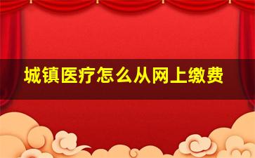 城镇医疗怎么从网上缴费