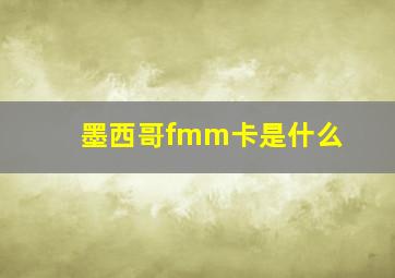 墨西哥fmm卡是什么