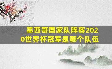 墨西哥国家队阵容2020世界杯冠军是哪个队伍