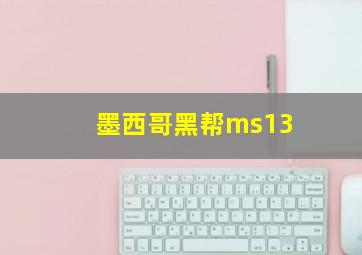 墨西哥黑帮ms13