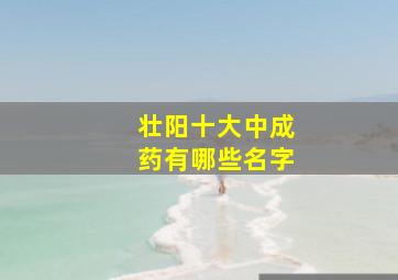 壮阳十大中成药有哪些名字