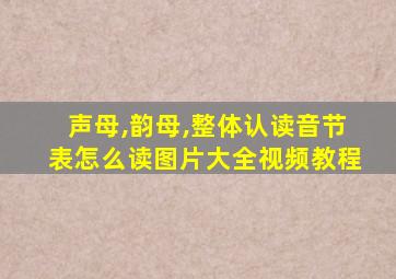 声母,韵母,整体认读音节表怎么读图片大全视频教程