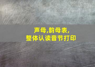 声母,韵母表,整体认读音节打印