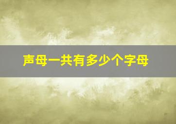 声母一共有多少个字母