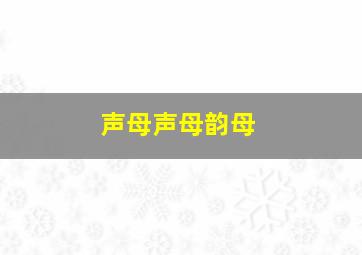 声母声母韵母