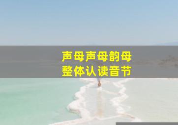 声母声母韵母整体认读音节