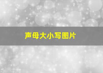 声母大小写图片