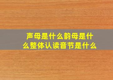 声母是什么韵母是什么整体认读音节是什么