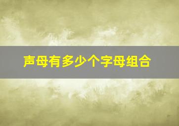 声母有多少个字母组合