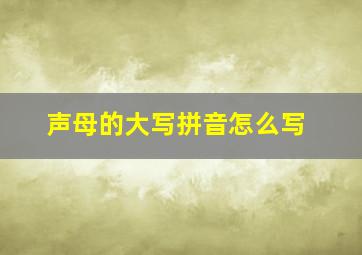 声母的大写拼音怎么写